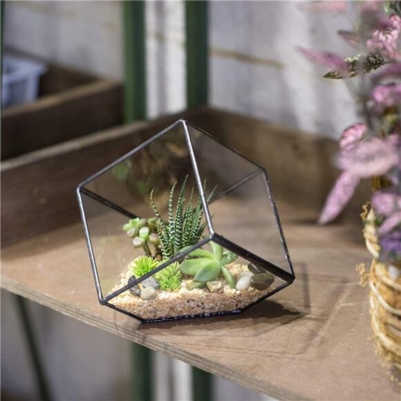 NCYP 3.93 Inches Geometric Glass Terrarium, Small Inclined Cube Clear - Picture 4 of 7